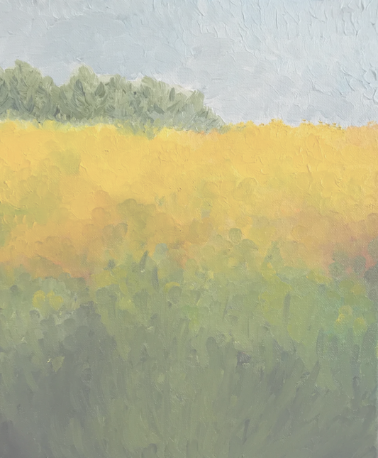 Yellow Flower Field - SOLD