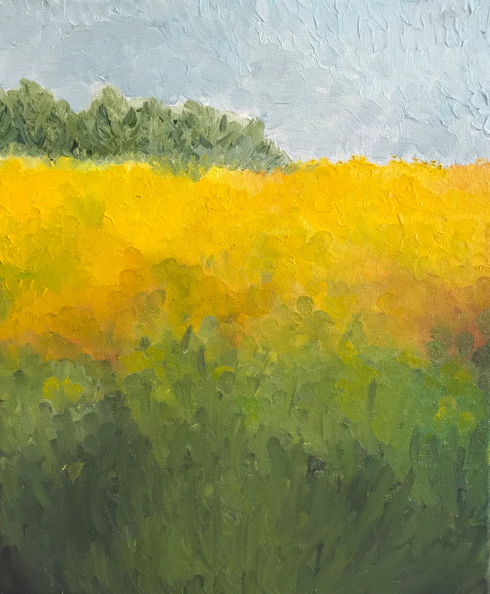 Yellow Flower Field - SOLD